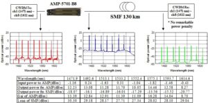 Uni-directional CWDM amplifier: installation example